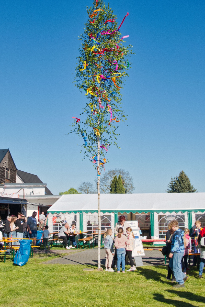 Maibaum_Thumb Maibaum_Thumb