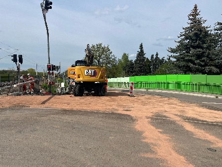 lspur Plottendorf (1)