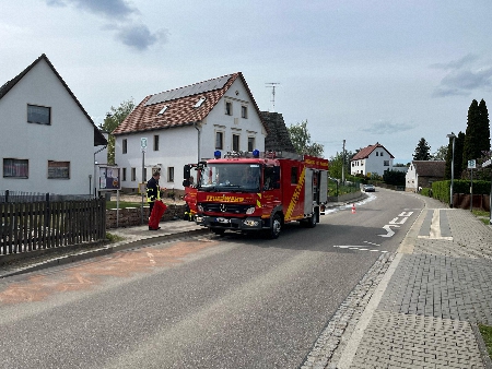 lspur Plottendorf (9)